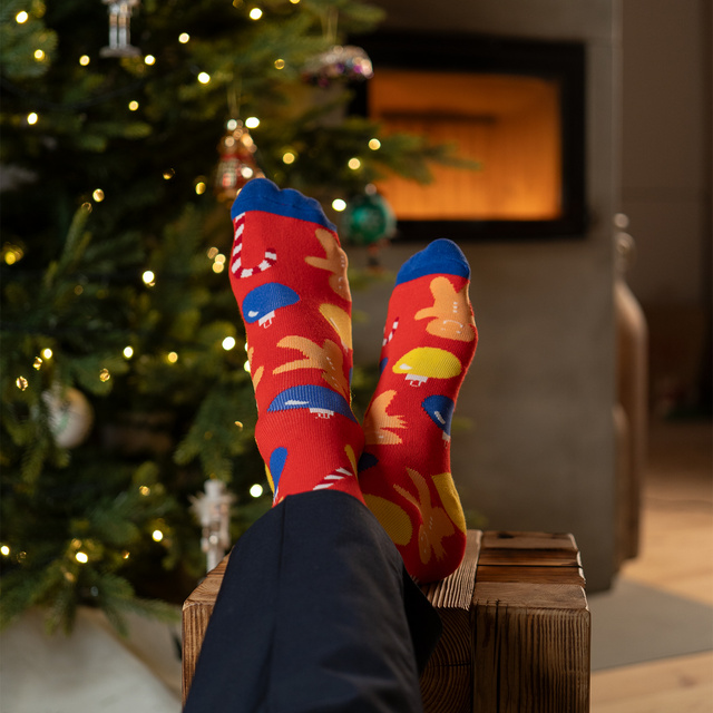 Set mit 2x Herrensocken mit Weihnachtsmotiv | SOXO